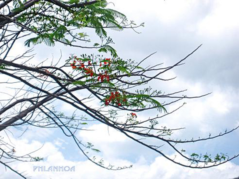 M&ugrave;a h&egrave; kỷ niệm